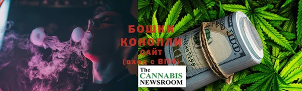гашик Богданович