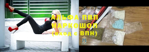 гашик Богданович