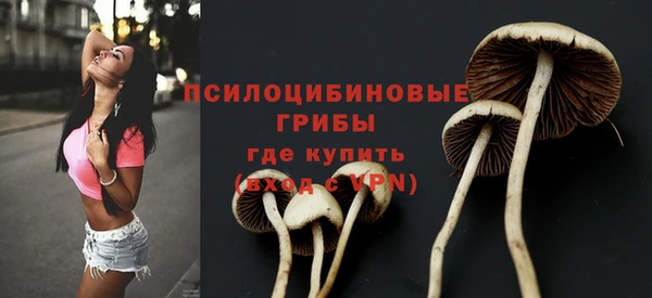 винт Богородск