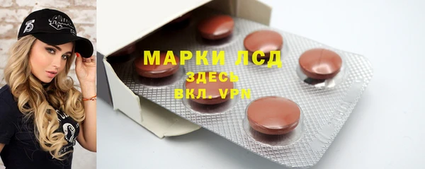 гашик Богданович
