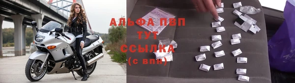 гашик Богданович