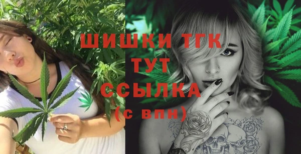 гашик Богданович