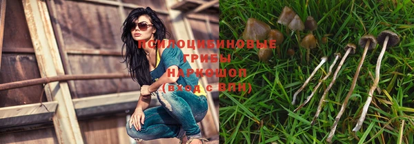 винт Богородск