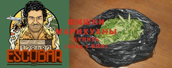 гашик Богданович
